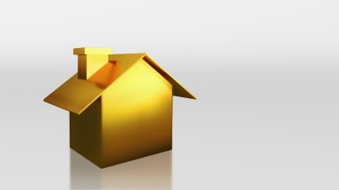 yatırım altın evi