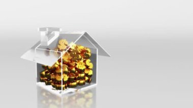 dolar işareti de tasarruf yatırım hd ev