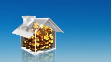 dolar işareti evinde tasarruf yatırım hd sky