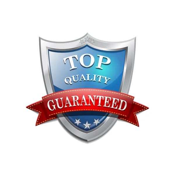 Glossy Shiny Top Quality Shield Icon — Stock Vector