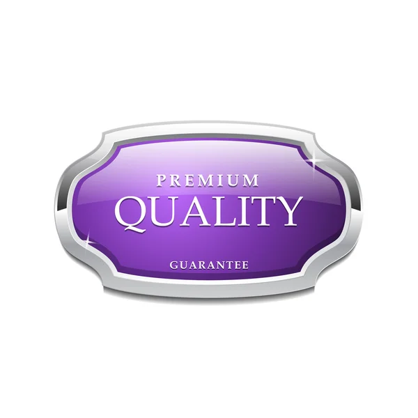 Shiny Glossy Premium Quality Vector Icon — Stock Vector