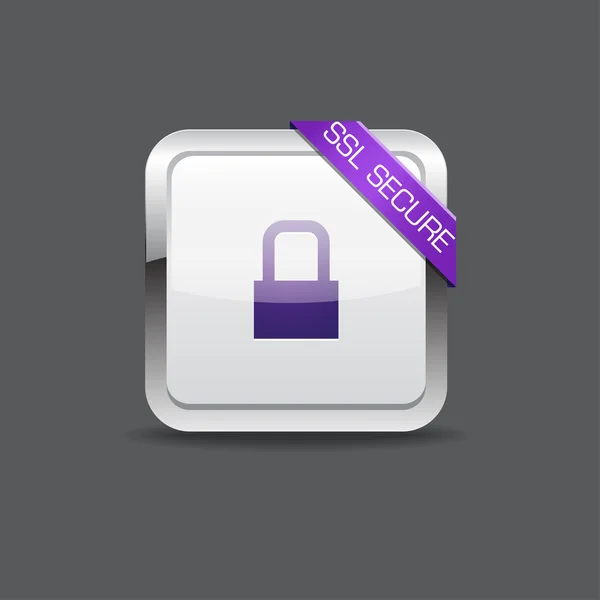 SSL Protected Secure Vector Icon Button — Stock Vector