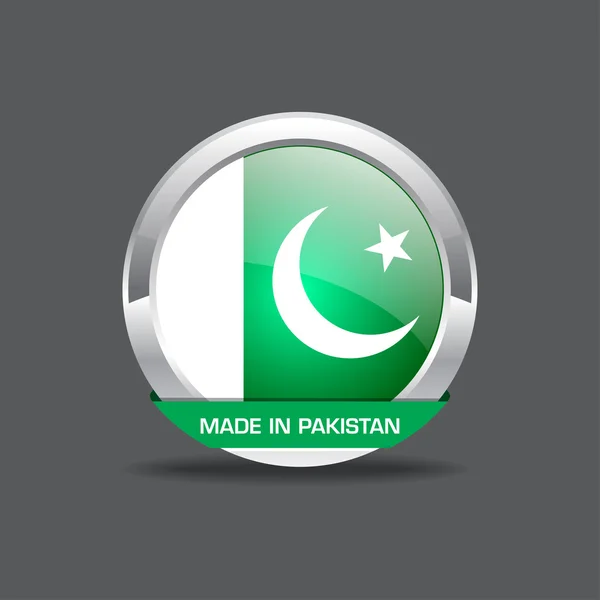 Pakistan Icona vettoriale della bandiera — Vettoriale Stock