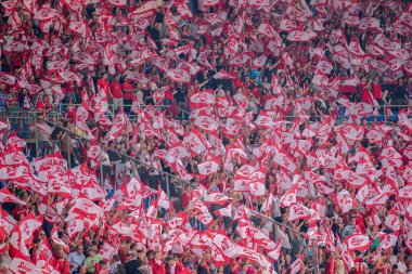 Austria vs Alemania