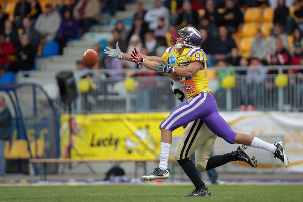 Vikingové vs. panthers — Stock fotografie