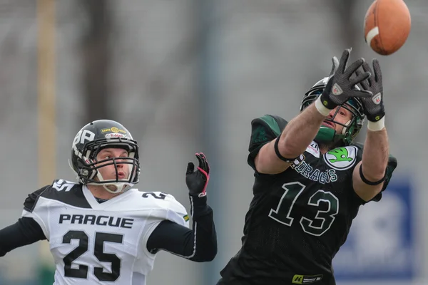 Dragons vs. Panthers — Stock Photo, Image