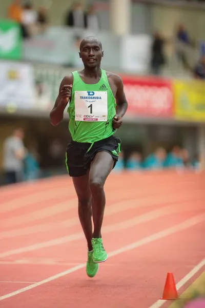 Gugl Indoor 2013. James Kelwon — Stock Photo, Image