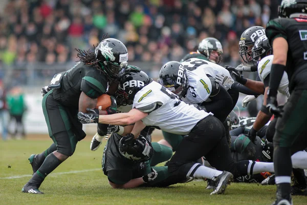 Sárkány vs Panthers — Stock Fotó