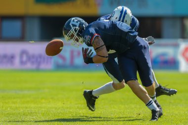 Finlandiya vs Fransa