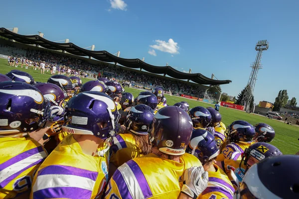 Vikings vs. Panteras — Fotografia de Stock