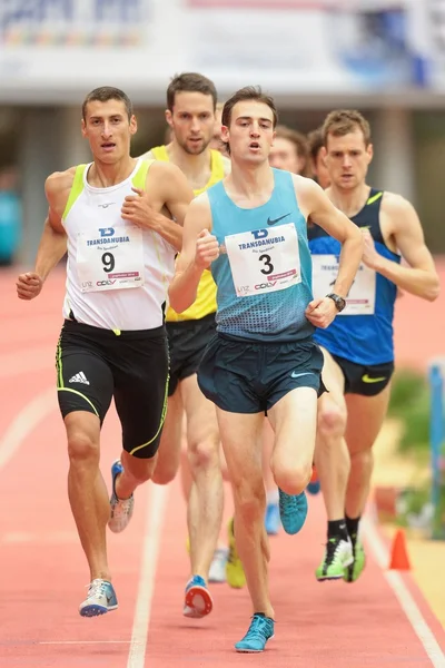 Gugl Indoor 2014.  Artur Ostrowski — Foto Stock