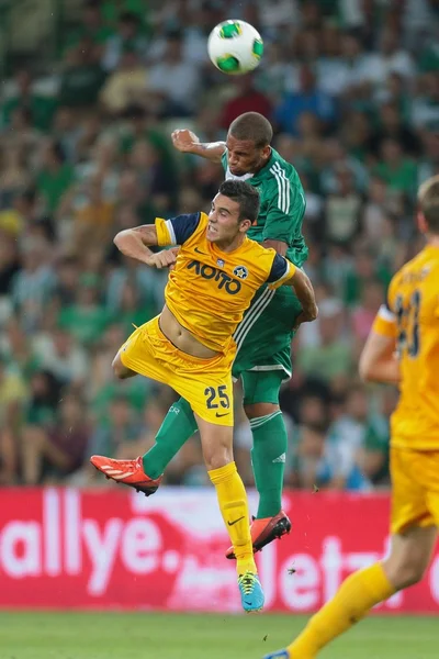 Rápida vs asteras tripolis — Foto de Stock