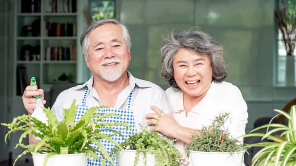 Asian Senior Couple Smile Watering Plants Take Care Trees Happy — Stok fotoğraf