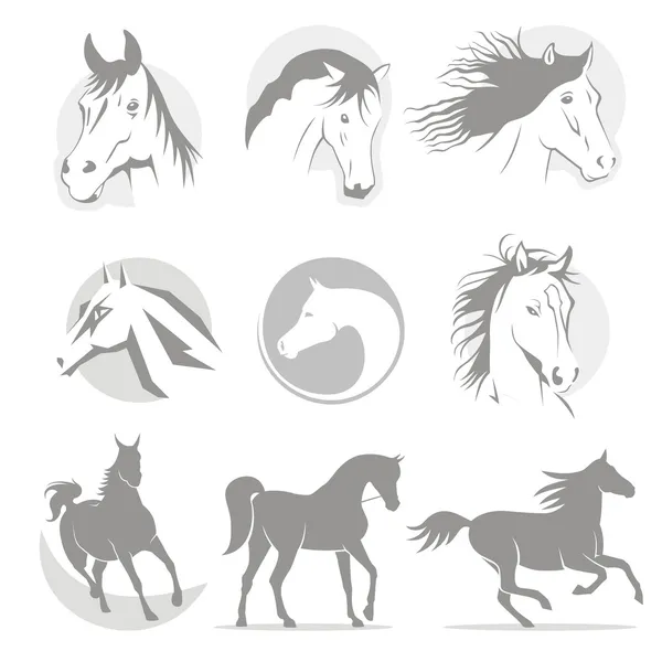 Caballo Logos — Archivo Imágenes Vectoriales