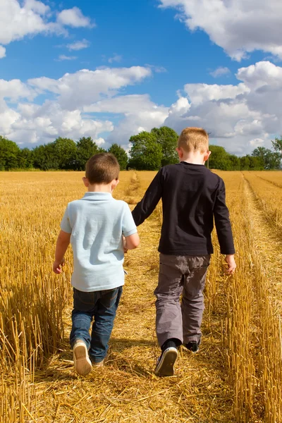 Zwei Brüder, die sich auf den Weizenfeldern an den Händen halten — Stockfoto