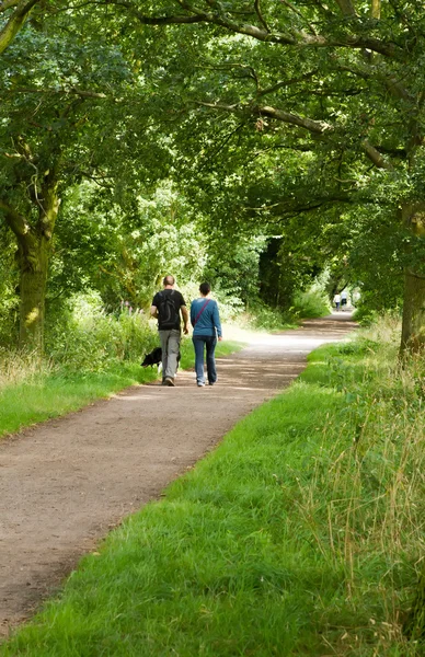 Junges Paar spaziert mit Hund über Feldweg — Stockfoto