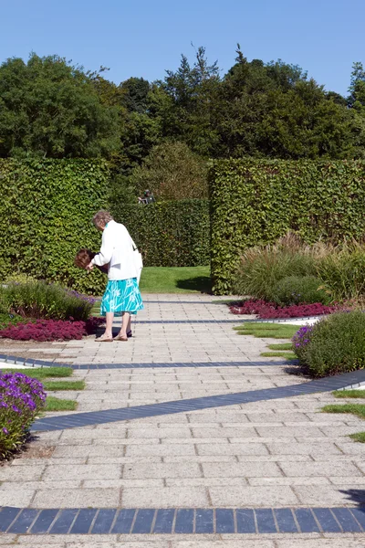 Two women admiring flowers in the garden — Stock Photo, Image