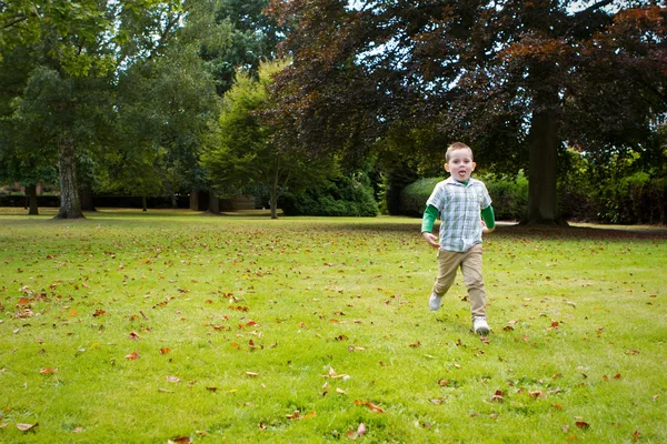 Futás a park kis bou — Stock Fotó