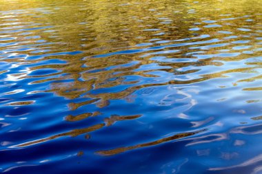 Mavi göle gerçek su ripples