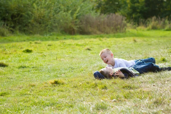 Brothers playing in the summer meadow — Stock Photo, Image