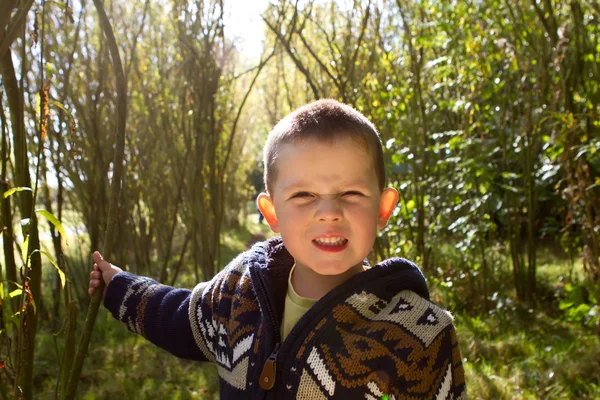 Kleine jongen glimlachend in het bos — Stockfoto