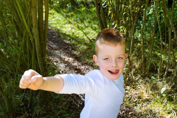 Liten pojke ler i skogen — Stockfoto