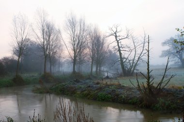 puslu alanlarında çalışan Nehri