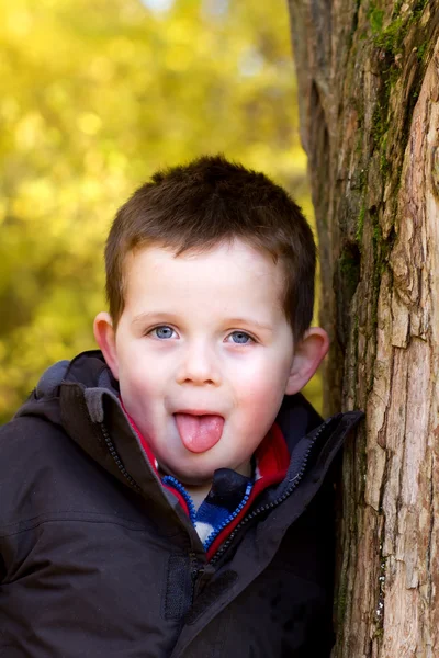 Gelukkige jongen in de bossen in de herfst — Stockfoto