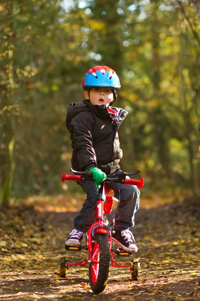 Pequeno menino montando sua bicicleta através de floresta trilha — Fotografia de Stock