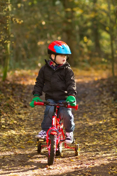 Pequeno menino montando sua bicicleta através de floresta trilha — Fotografia de Stock