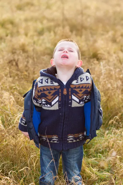Ledsen liten pojke på landsbygden — Stockfoto