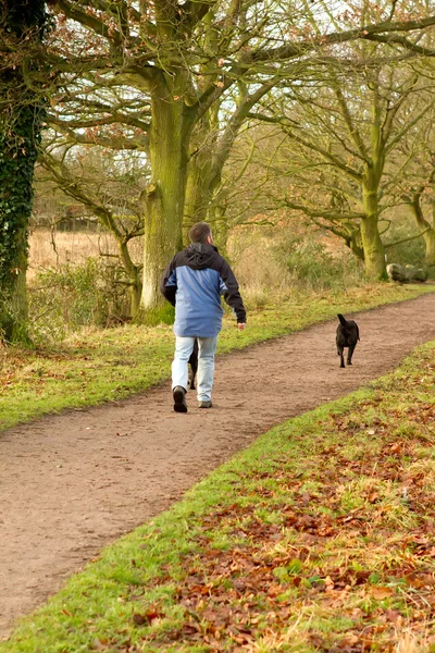 Άνθρωπος περπάτημα σκυλιά στην ύπαιθρο — Φωτογραφία Αρχείου