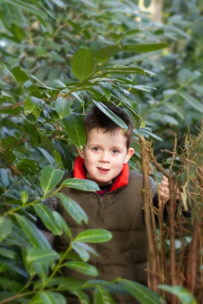 Gelukkig kind gluren door een hiaat in de boom — Stockfoto