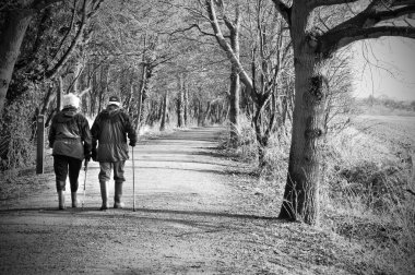 senior couple walking through the woods clipart