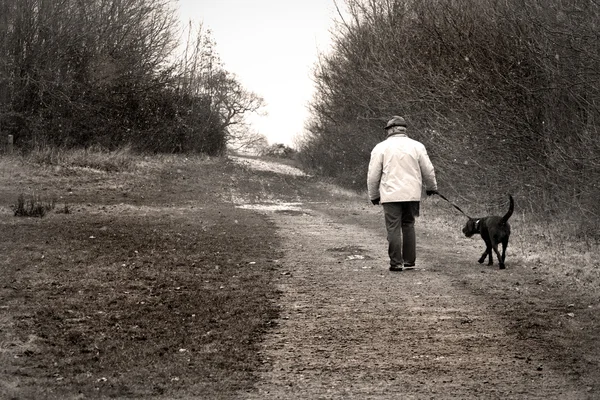 Alter Mann geht mit Hund spazieren — Stockfoto