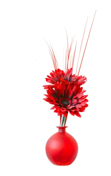 Red flower in a vase — Stock Photo, Image