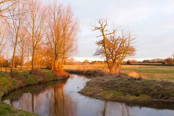 Rivière coulant à travers une scène de campagne anglaise au coucher du soleil — Photo