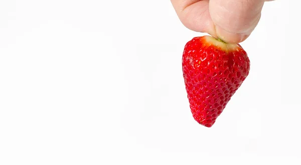 Mans hand holding the stalk of a strawberry — Stock Photo, Image