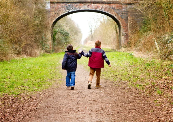 Brüder halten Hand in Hand auf einem Feldweg — Stockfoto