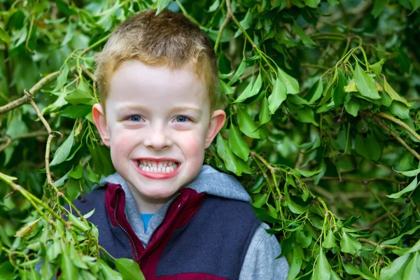 Glad liten pojke ler genom bladen — Stockfoto