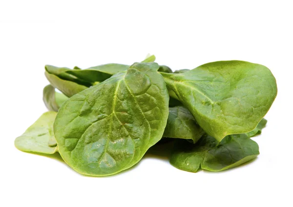 Fresh spinach leaves on a white background Stock Image