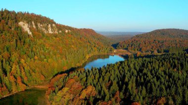 Ormandaki bir gölün havadan görünüşü