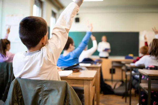 Παιδιά Στην Σχολική Τάξη Σηκωμένα Χέρια Απαντώντας Στην Ερώτηση Του — Φωτογραφία Αρχείου