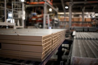 Fabrika içi ve endüstriyel üretim kil tuğlalar inşaat endüstrisi için. Taşıyıcı bant makinesi pişirme işlemi için tuğlaları ısı fırınına taşıyor.