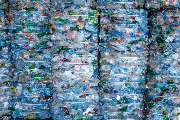 Büyük plastik PET şişeleri sıkıştırılmış ve geri dönüşüme hazır..