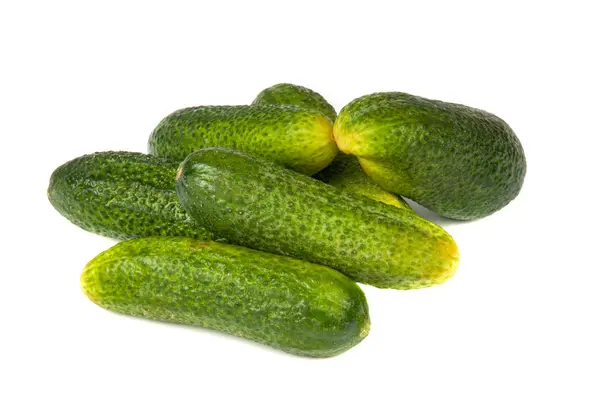 Pepino verde — Foto de Stock