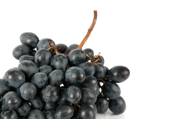 Grote stelletje donkere druiven — Stockfoto