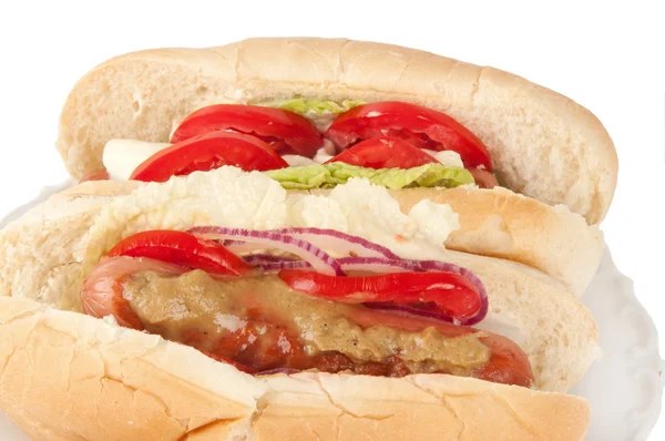 Hot dog sur une assiette — Photo