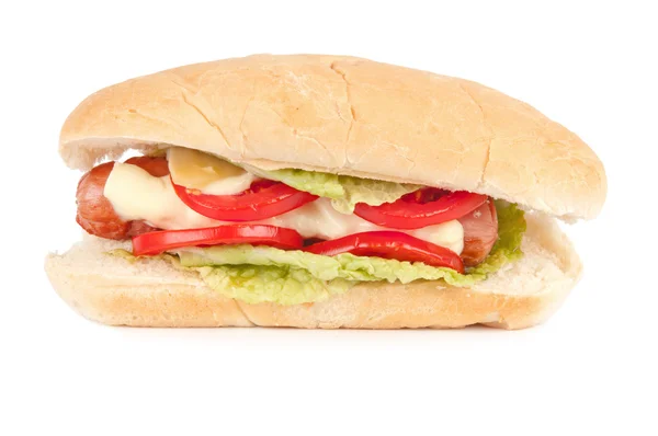 Bir lezzetli sosisli sandviç — Stok fotoğraf