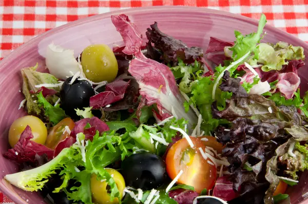 Verse gemengde salade — Stockfoto